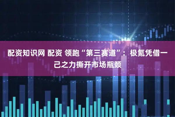 配资知识网 配资 领跑“第三赛道”：极氪凭借一己之力撕开市场瓶颈